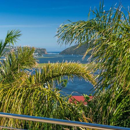 Guest House The Lazy Lion Knysna Esterno foto