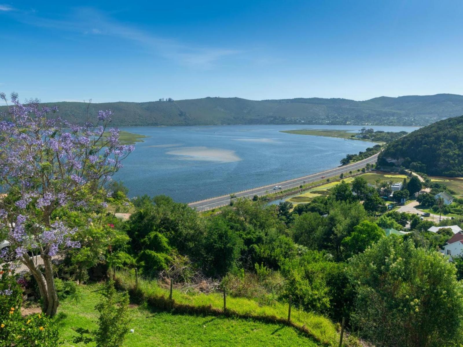 Guest House The Lazy Lion Knysna Esterno foto